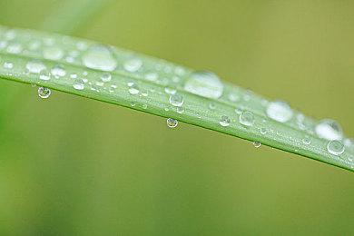 严防剧透！《最终幻想16》提前一周偷跑